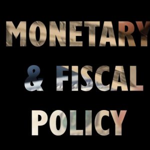 Too Embarrassed To Ask: what is the difference between monetary & fiscal policy?