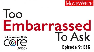 Too Embarrassed To Ask: what is ESG investing?